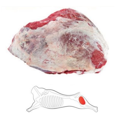 Topside Cap On (Oberschale mit Deckel mit Fett) - Image 2