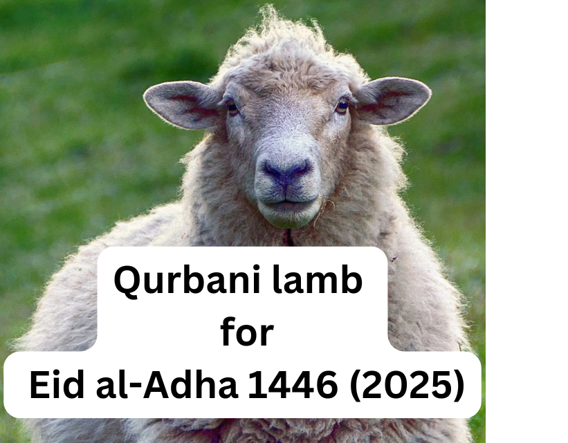 ***We regret to inform you that no orders can be accepted for the year 1446 (2025).***