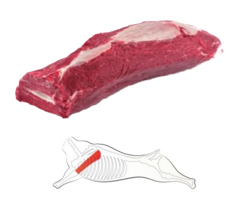 Shoulder Blade (Schaufelstück) - Image 2