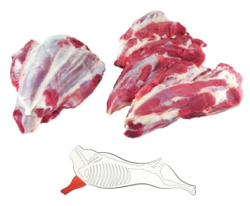 Shin Boneless (Vorderbein ohne Knochen) - Image 2